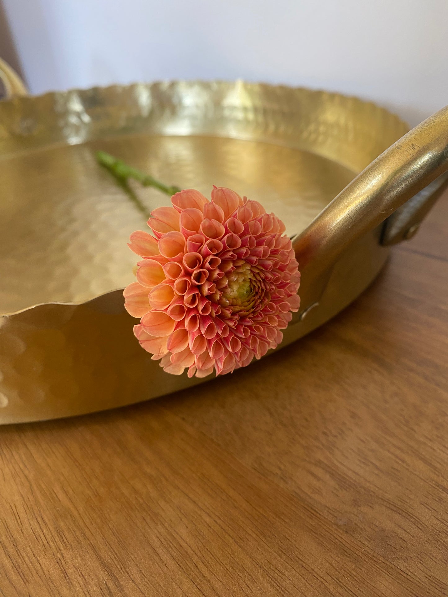Amber Queen Dahlia Tuber