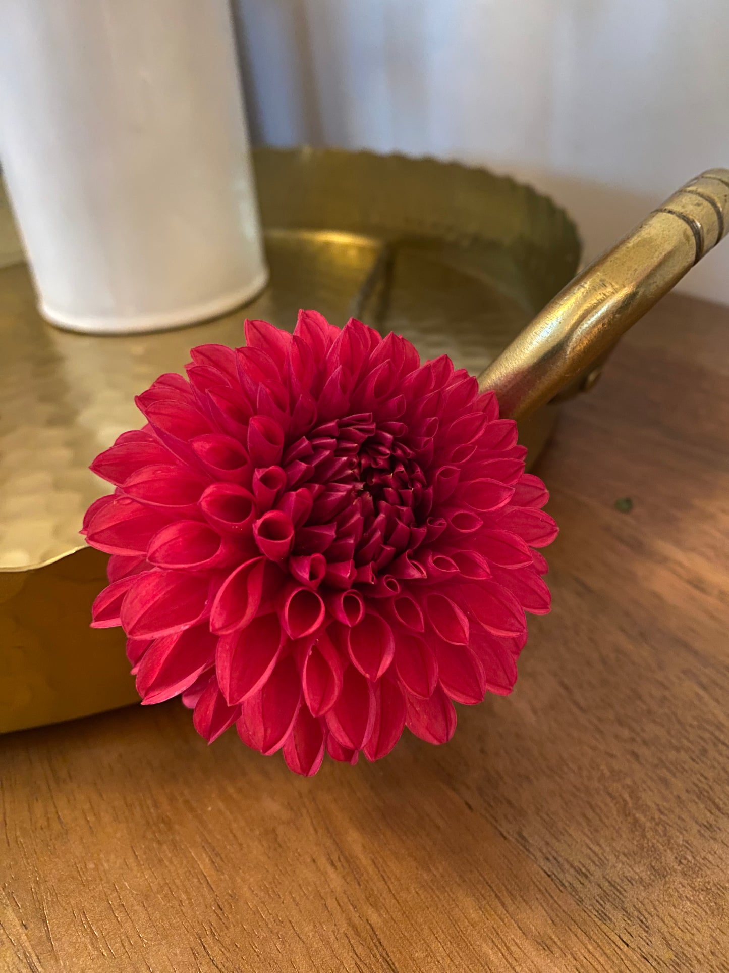 Chimacum Nadjae Dahlia Tuber