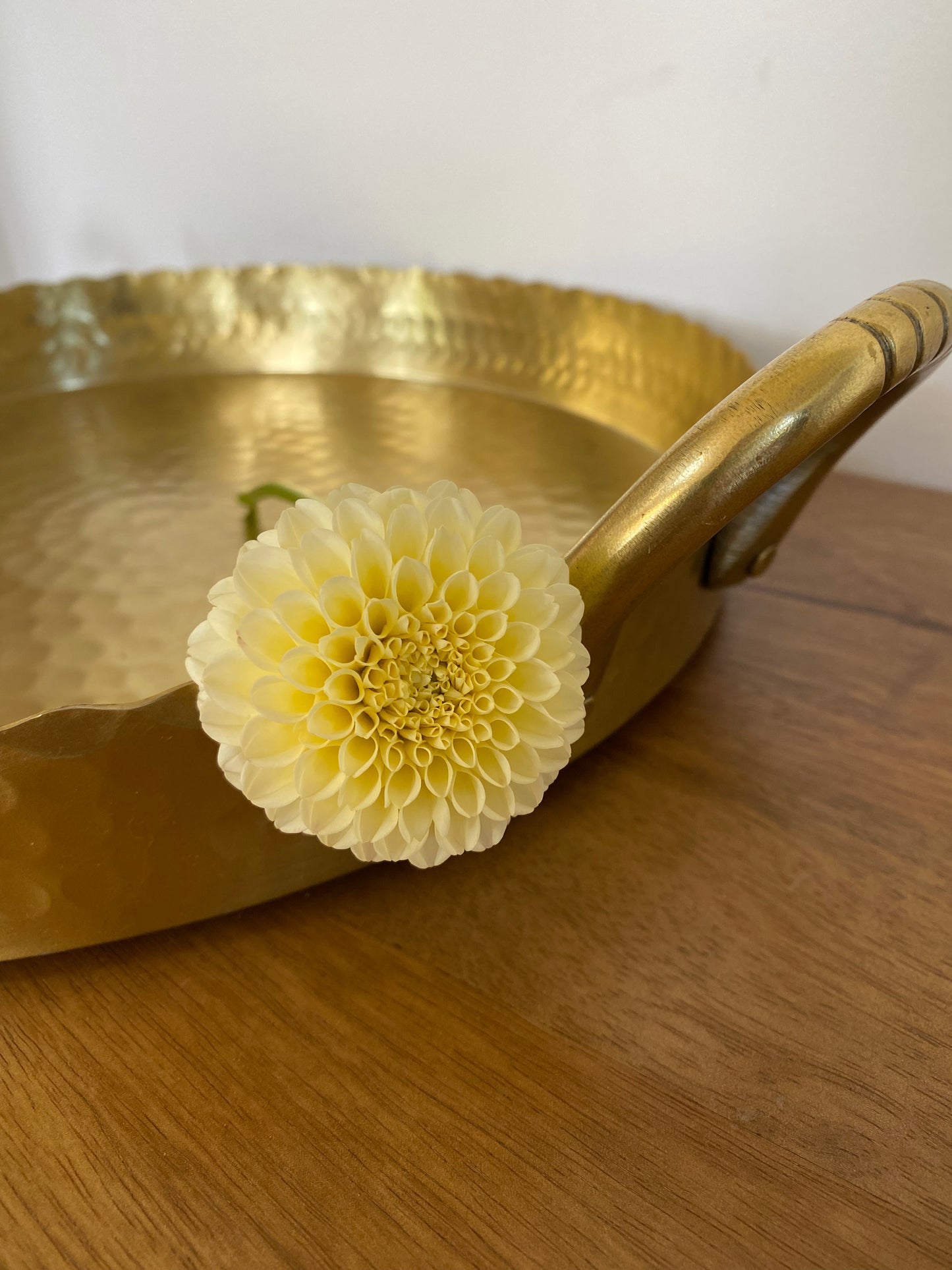 Creamy Dahlia Tuber