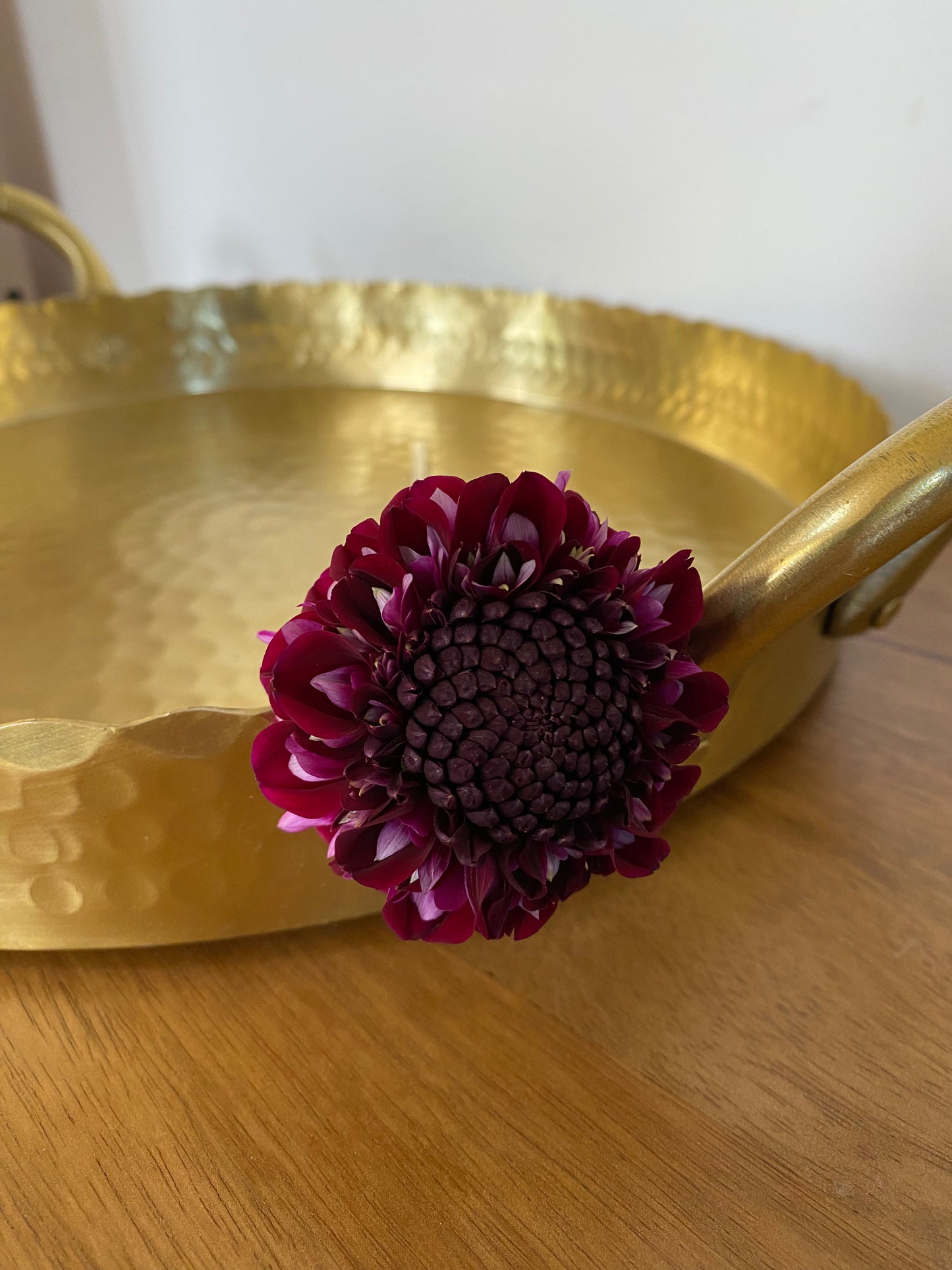 Rosie Raven Dahlia Tuber