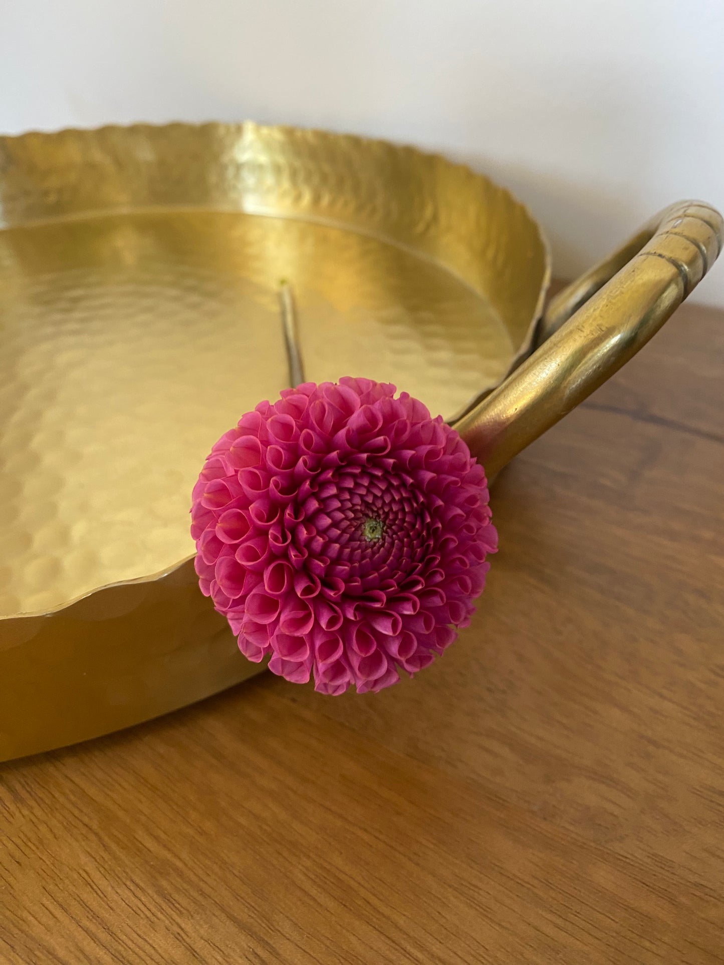 Ferncliff Rusty Dahlia Tuber
