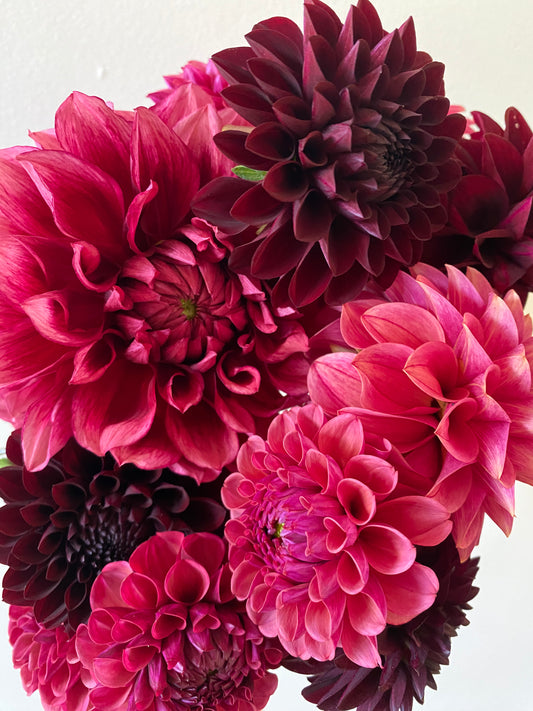 2025 Dahlia Bouquet Subscription